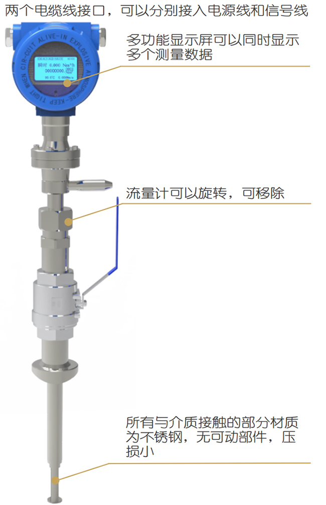 DN50熱式氣體質(zhì)量流量計結(jié)構(gòu)圖