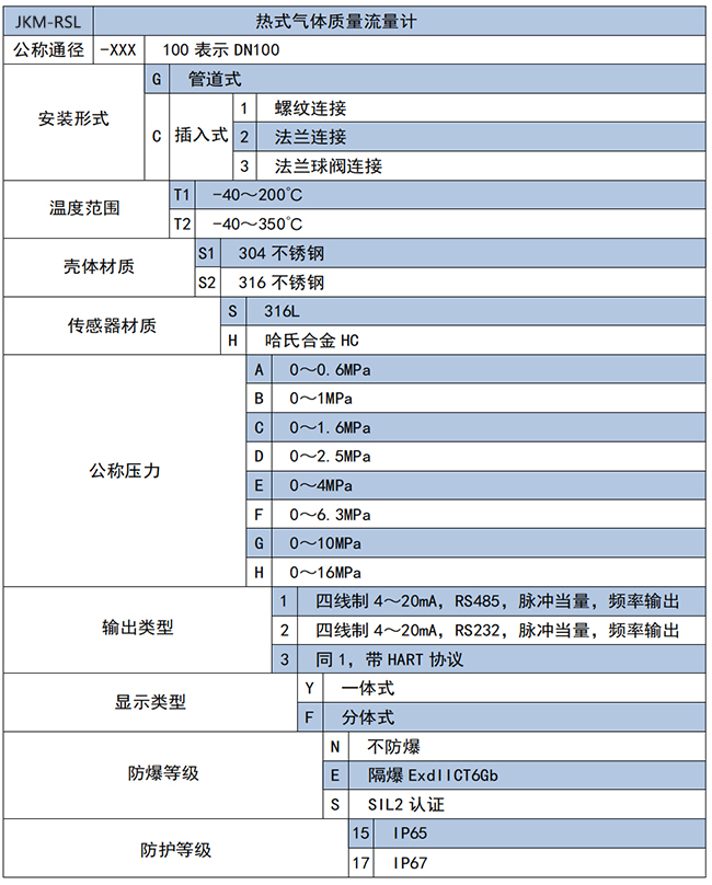 分體式熱式氣體質(zhì)量流量計選項(xiàng)表